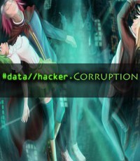 数据黑客：腐败