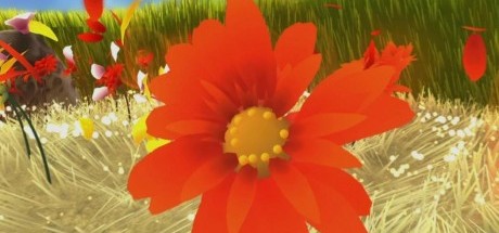 禅意游戏《花》评分汇总