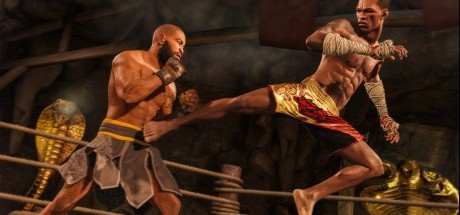 搏击冠军归来，《UFC 4》评测评分汇总