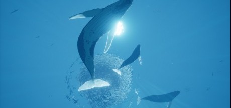 冒险游戏《未知海域》国内媒体评测汇总