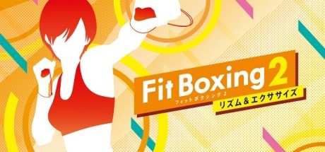 有氧拳击2：节奏与锻炼