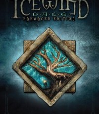 冰风谷：增强版
