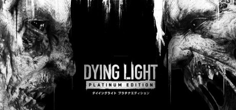 消逝的光芒：白金版