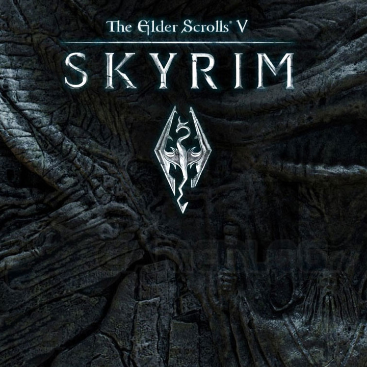 上古卷轴5：天际