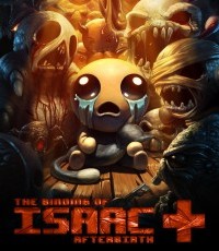 以撒的结合：胎衣+