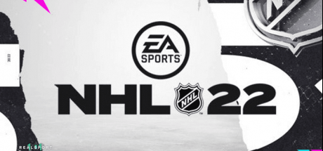 北美职业冰球联赛22