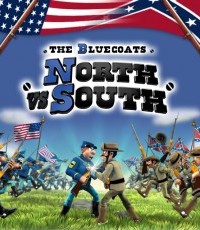 蓝衫军：南北战争