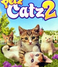 宠物情缘：猫咪篇2