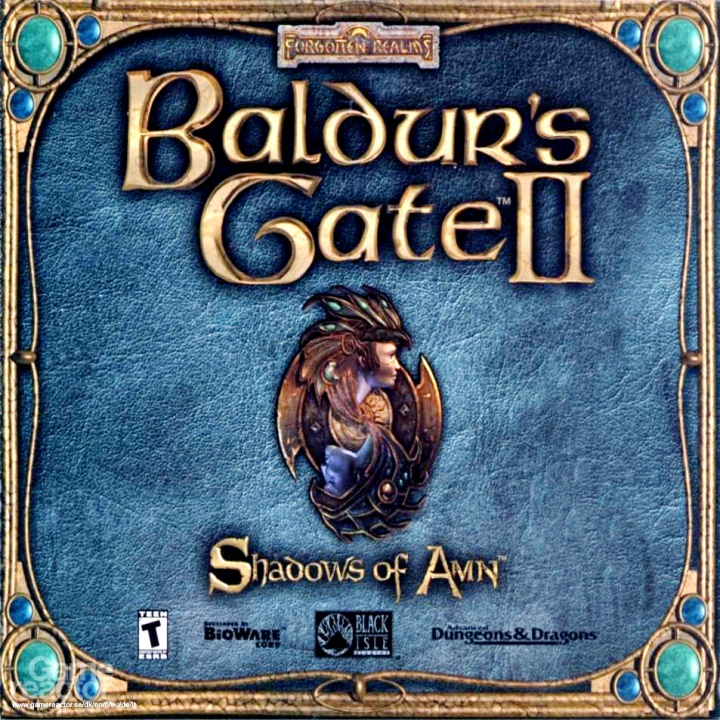 博德之门2：安姆的阴影